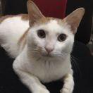 Wait同学的个人资料头像