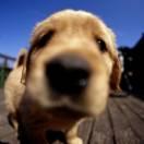 陈家晖的个人资料头像