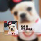 余生安好的个人资料头像