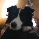 KupaS的个人资料头像