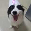 友货精品in的个人资料头像