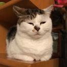 人畜无害杰杰杰的个人资料头像