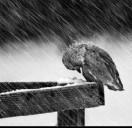 大叔牙齿不好的个人资料头像