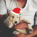 海南就是我的个人资料头像