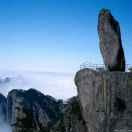 Jared酱的个人资料头像