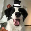 Allen重名了63387的个人资料头像