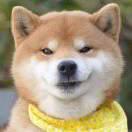 JJQ在掘金的个人资料头像