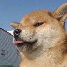 Belief的个人资料头像