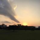 leshem的个人资料头像