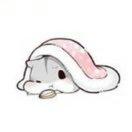 chfangfangcomcn的个人资料头像