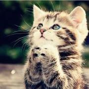 东酱233的个人资料头像