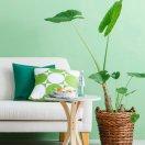 韦韦在掘金的个人资料头像