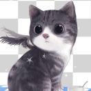 风的腚点的个人资料头像