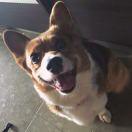 陈怡的个人资料头像