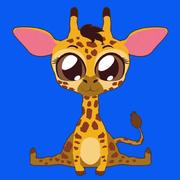 wangrr2018的个人资料头像