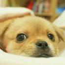 暗魂的个人资料头像