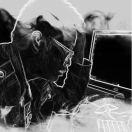 Gwalker的个人资料头像