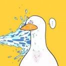 爱简单的个人资料头像