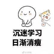 慢二拍先生的个人资料头像