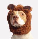 不二的骆驼女的个人资料头像