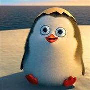 weilyjy的个人资料头像