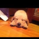 jacky本尊63757的个人资料头像