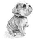 PY同学的个人资料头像