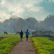 cytqq的个人资料头像