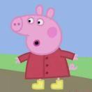 Shrugged的个人资料头像