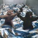 lJJ63910的个人资料头像