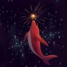 灵爃的个人资料头像