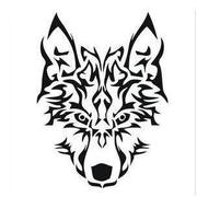 lixiang241的个人资料头像