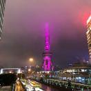 卓鑫的个人资料头像