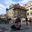 流浪的面包树的个人资料头像