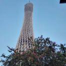 安琪拉的个人资料头像