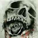 骷髅与花的个人资料头像