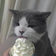 2495a的个人资料头像