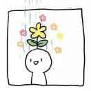 夜猫的个人资料头像