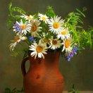 曹恒的个人资料头像