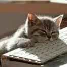 Algo64170的个人资料头像