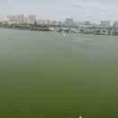 忆难忘的个人资料头像