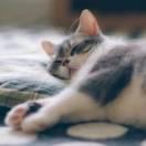 WANGGANG的个人资料头像