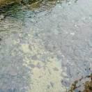 夕阳西下看日出的个人资料头像