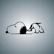 午后苦咖啡的个人资料头像