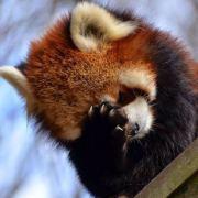 空空_NullReference的个人资料头像