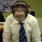 wjy397的个人资料头像