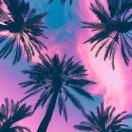 宝宝是宝宝的个人资料头像