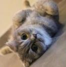 曹雷重名了的个人资料头像