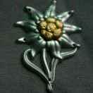 不知道不想说话的个人资料头像