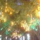 过河卒重名了64541的个人资料头像